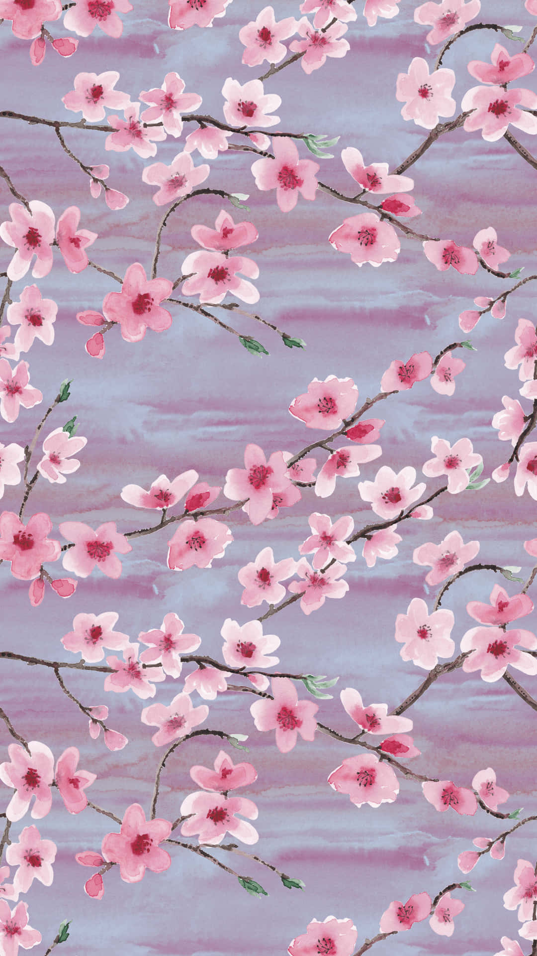 Pink Cherry Blossom Wallpaper