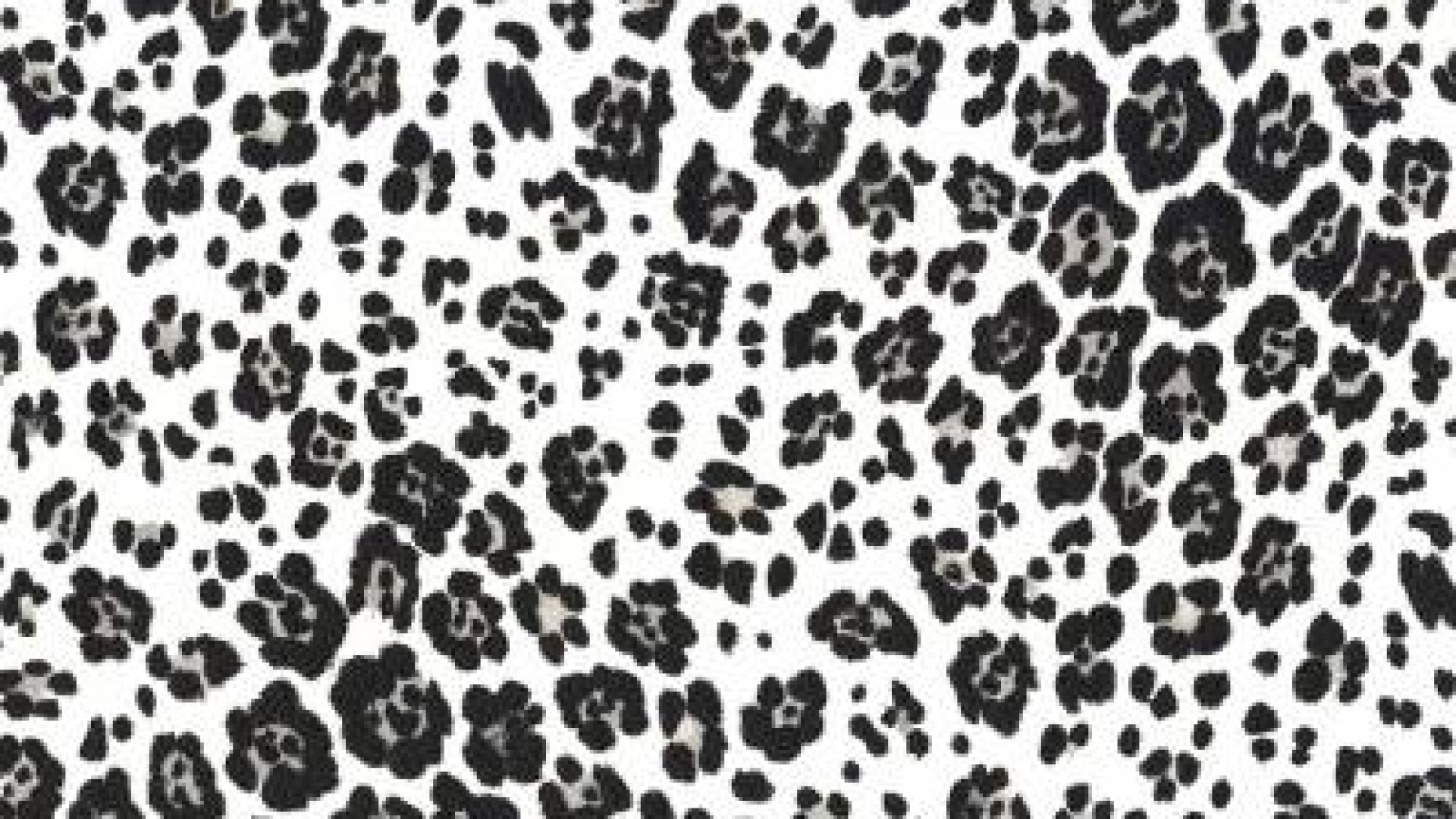 Leopard Print Wallpaper HD Wallpapercraft