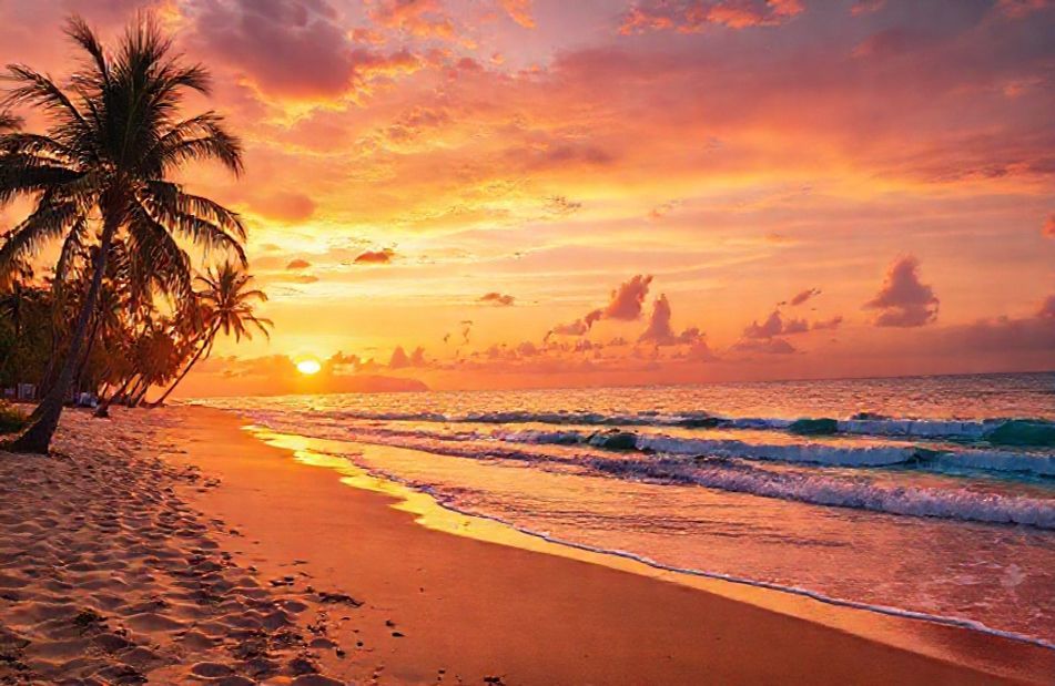 Sunny Beach Wallpaper