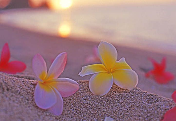Hawaiian Flowers Nail Inspirati