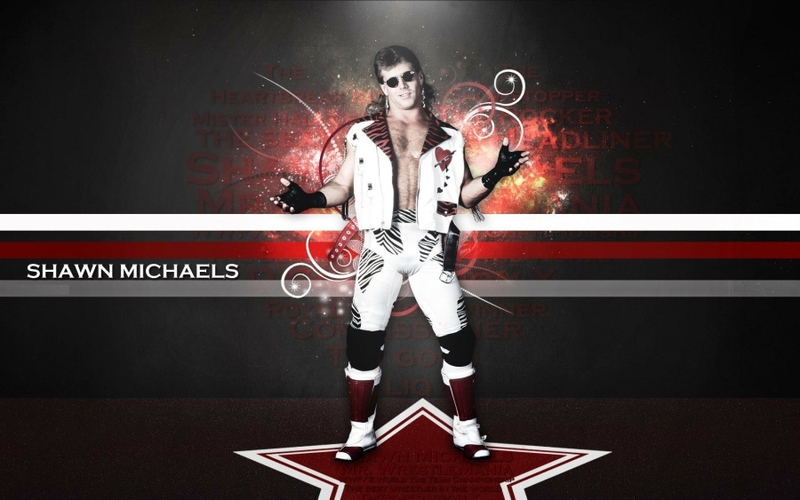 Wwe World Wrestling Entertainment Shawn Michaels Hbk
