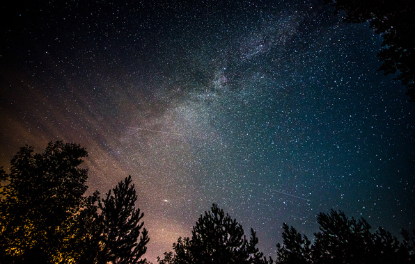 Wallpaper Space Stars Milky Way Night Trees