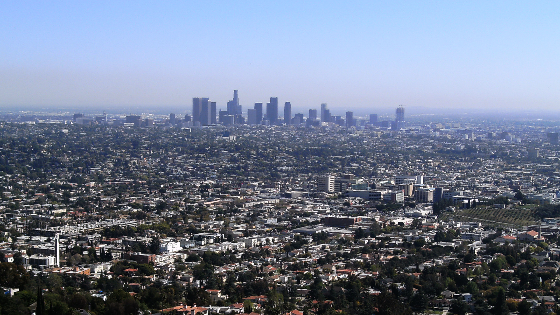 Enjoy This Los Angeles Background Cities Wallpaper