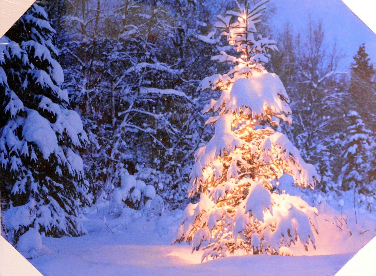 Snow Covered Pine Tree Light Up Christmas S X Outdoor