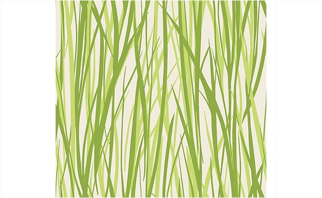 Grass Wallpaper From The Eco Chic Collection Design By Seabrook Wallc