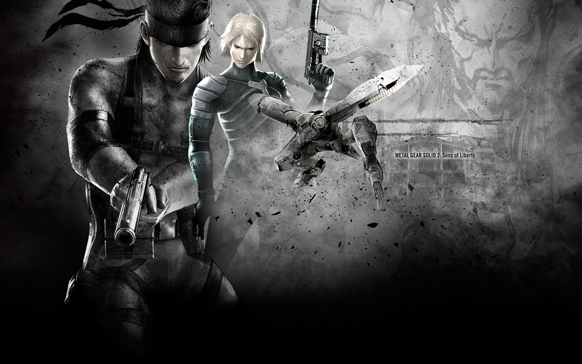 Sons Of Liberty Wallpaper Playstation Video Game