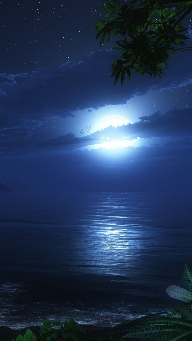 Bright Moon Over The Sea Wallpaper   Free iPhone Wallpapers
