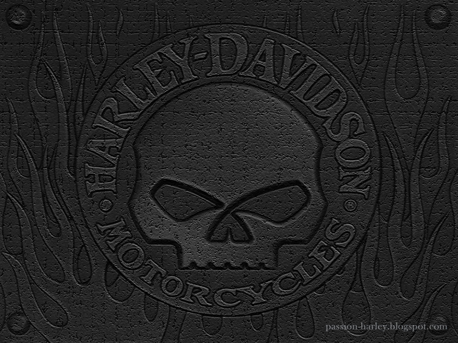 Harley Davidson Logo Wallpaper iPhone Reformwi Org