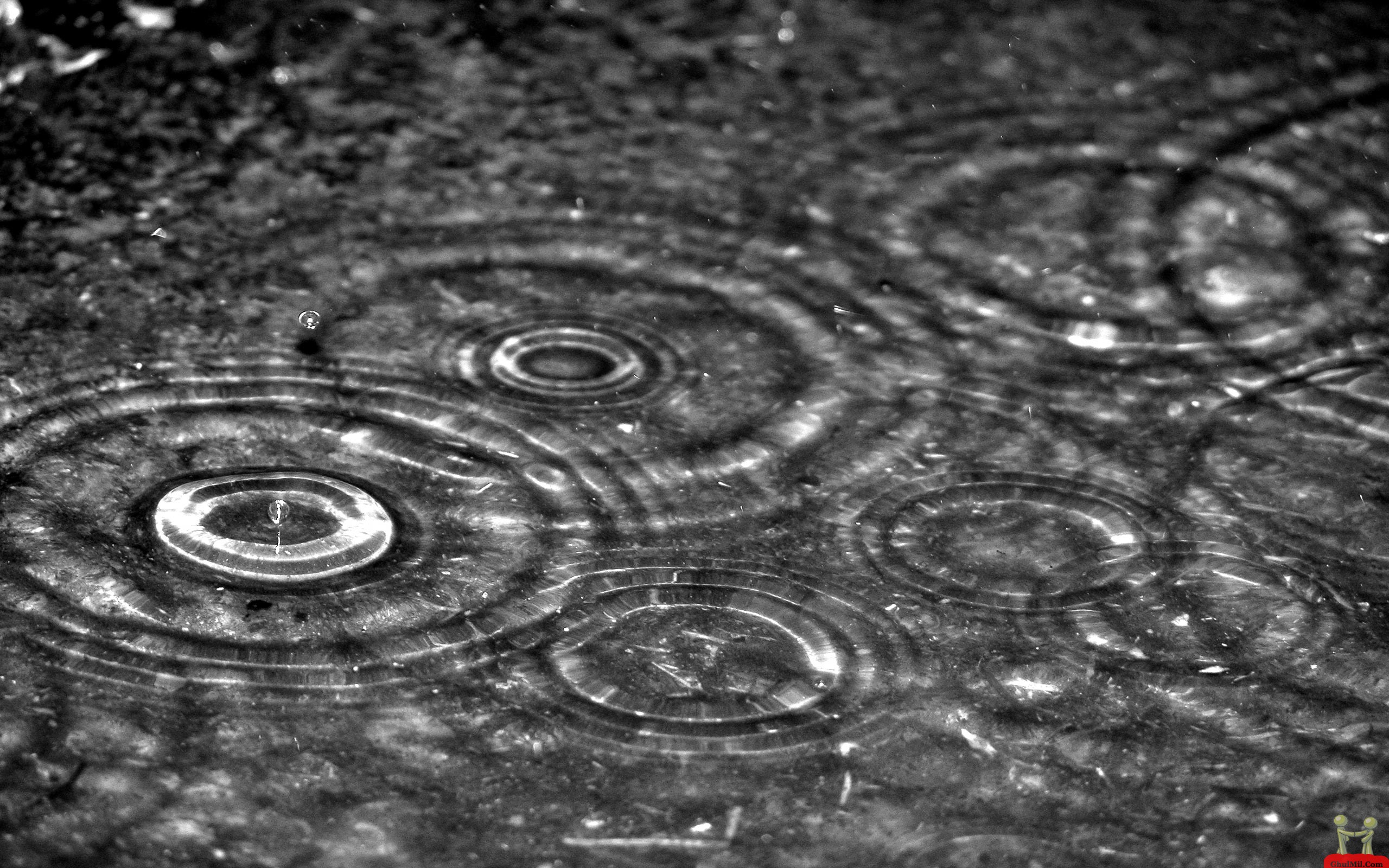 Falling Rain Drops HD Wallpaper