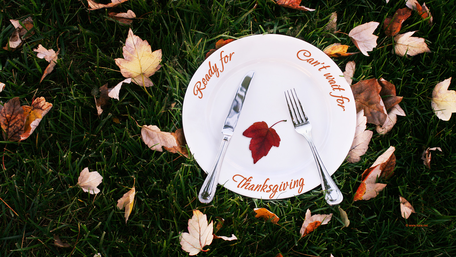Ready For Thanksgiving Wallpaper Photo Kate Created