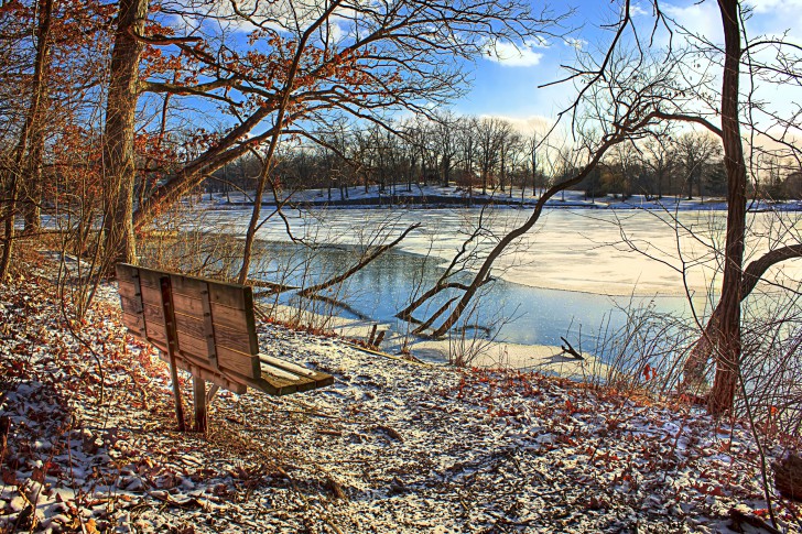 Lakeside Park Bench In High Resolution Wallpaper Size