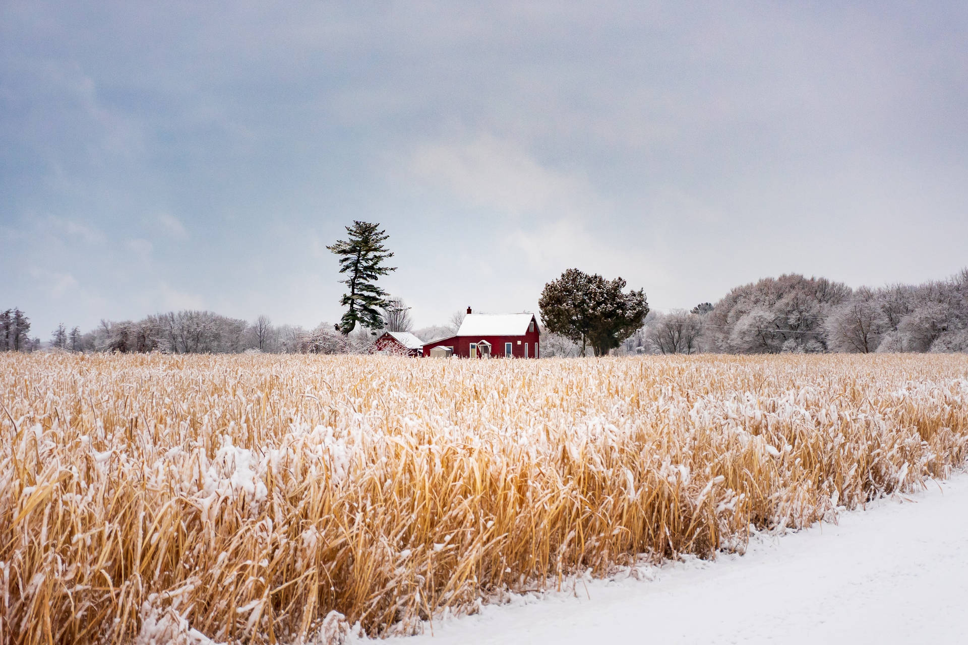 Farmhouse In Winter F28pwg3re94gjfp9 Wallpaper