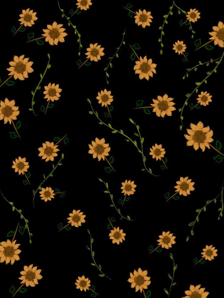 Sunflower In Black Girass Is Papel De Parede Colorido Fotos