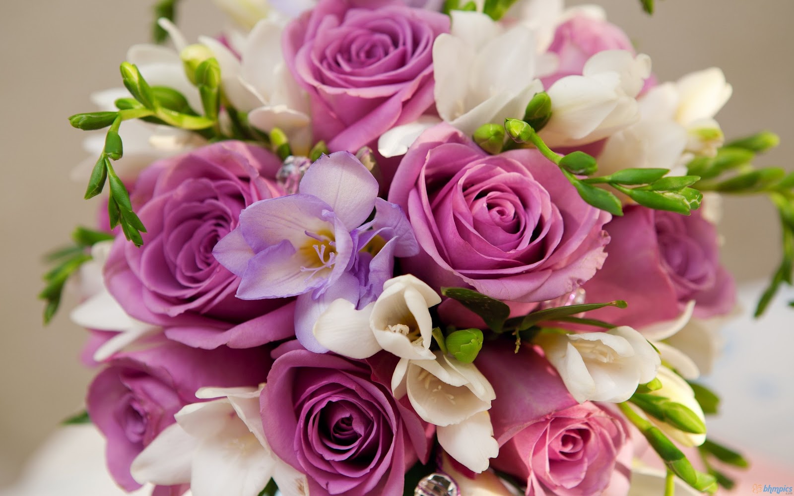 Free Best Pictures Beautiful Purple White Flowers Bouquet Wallpapers