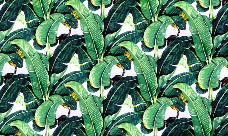 Banana leaf wallpaper design Martinique for the Beverly Hills Hotel
