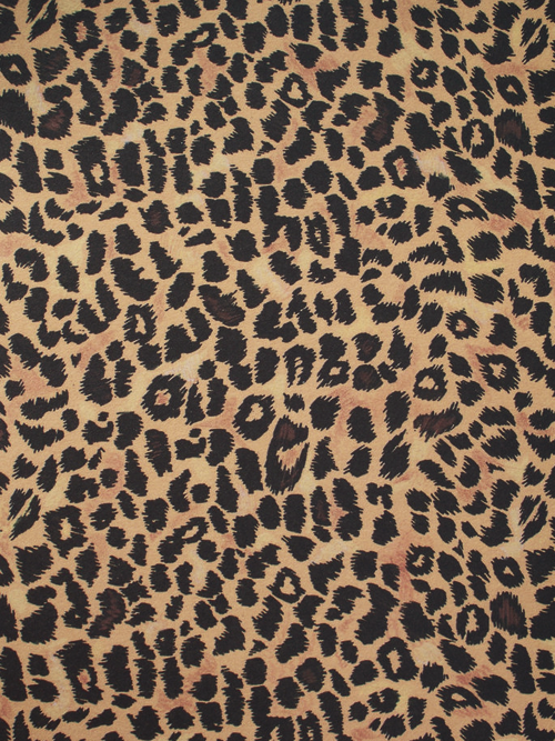 Cheetah Print Background Leopard