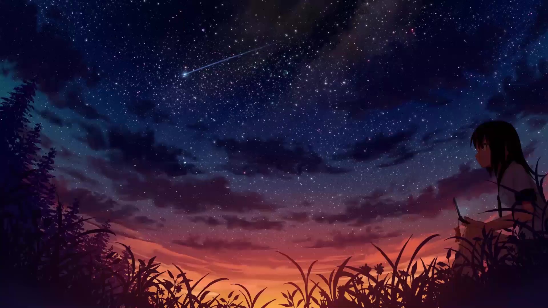 Free download Anime Starry Night Sky Live Wallpaper WallpaperWaifu  [1920x1080] for your Desktop, Mobile & Tablet | Explore 19+ Night Sky Anime  Desktop Wallpapers | Night Sky Stars Wallpaper, Night Sky Background,