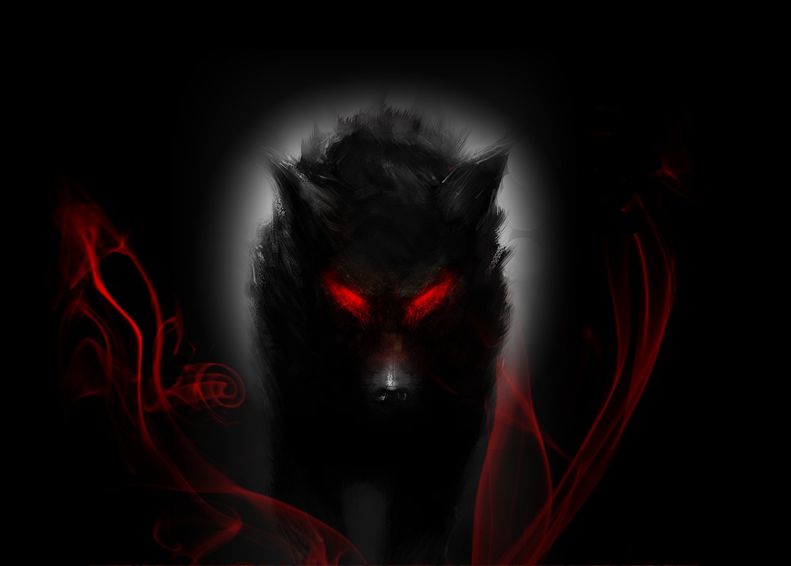 Red wolf HD wallpapers free download  Wallpaperbetter