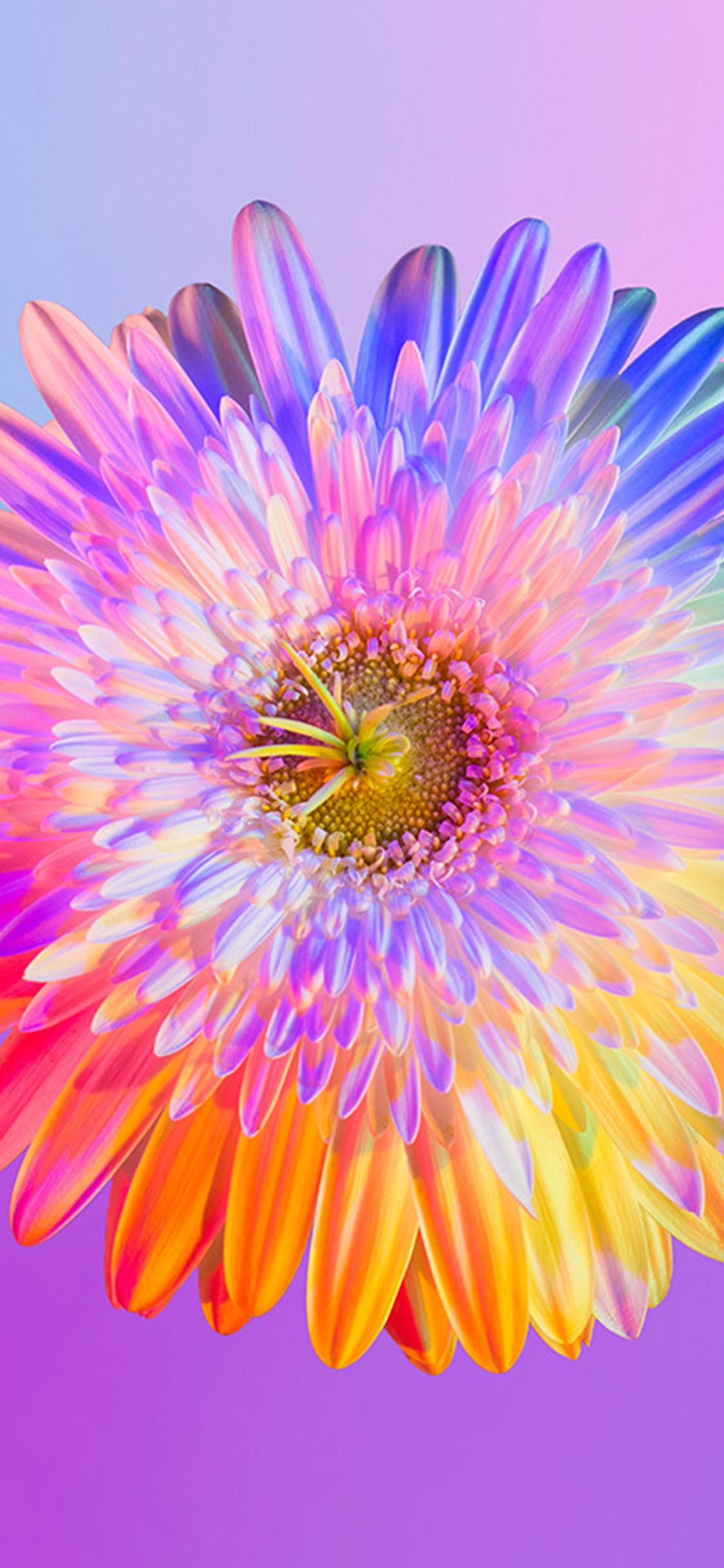 iPhonexpapers iPhone X Wallpaper Bk73 Art Rainbow Flower