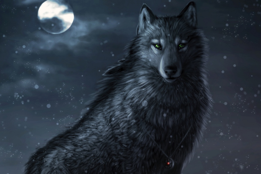 Animated Wolf Wallpaper Best HD