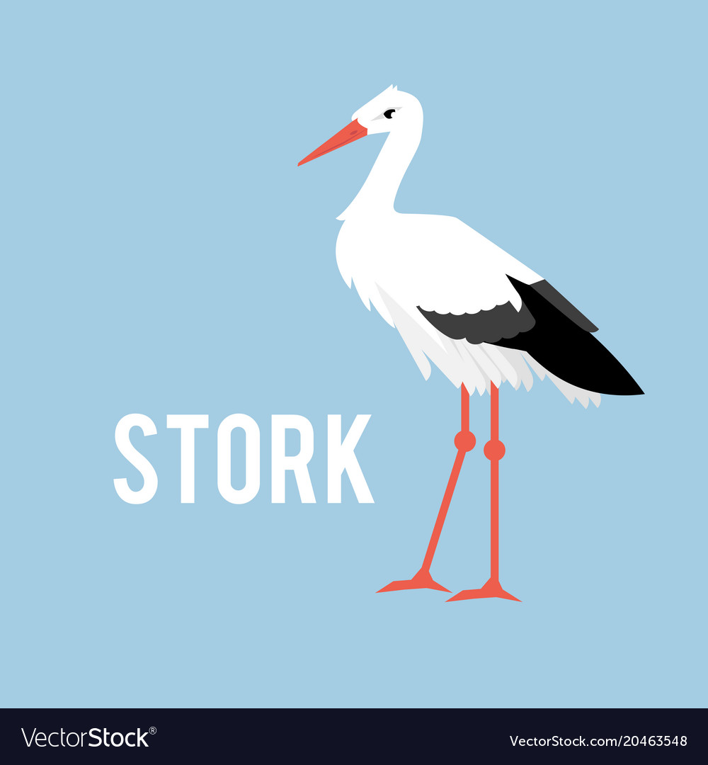 Stork isolated on white background standing stork Vector Image 1000x1080