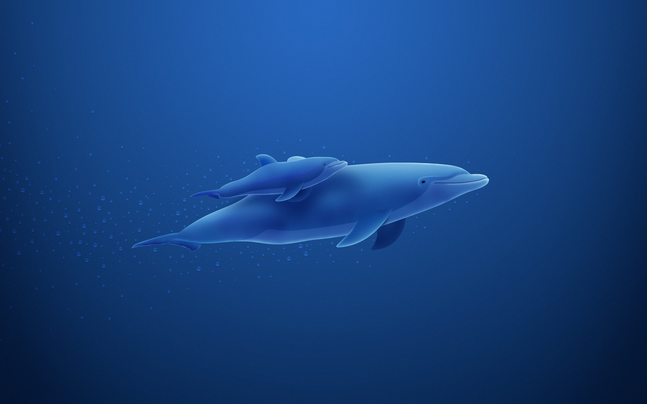 Dolphins mother Mac Wallpaper Download Free Mac Wallpapers Download