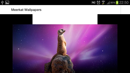 Bigger Meerkat Ringtones Wallpaper For Android Screenshot