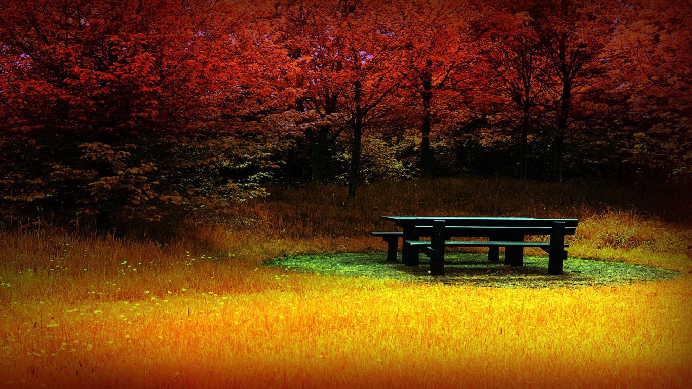 Tranquility Of Autumn Wallpaper IwallHD HD
