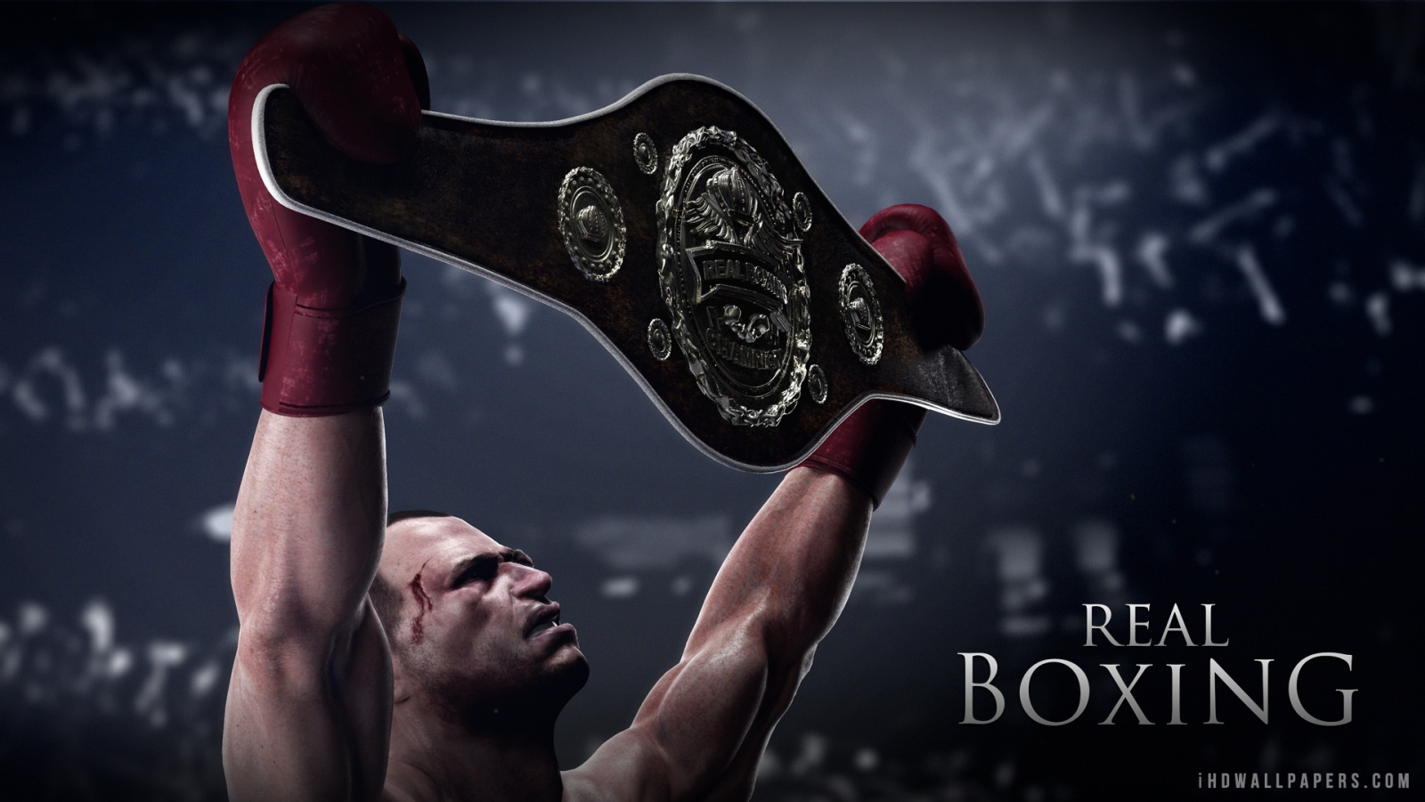 Real Boxing HD Wallpaper IHD