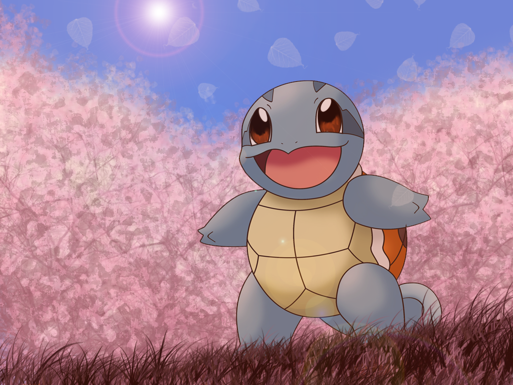 Cute Squirtle Wallpaper Image Pictures Becuo