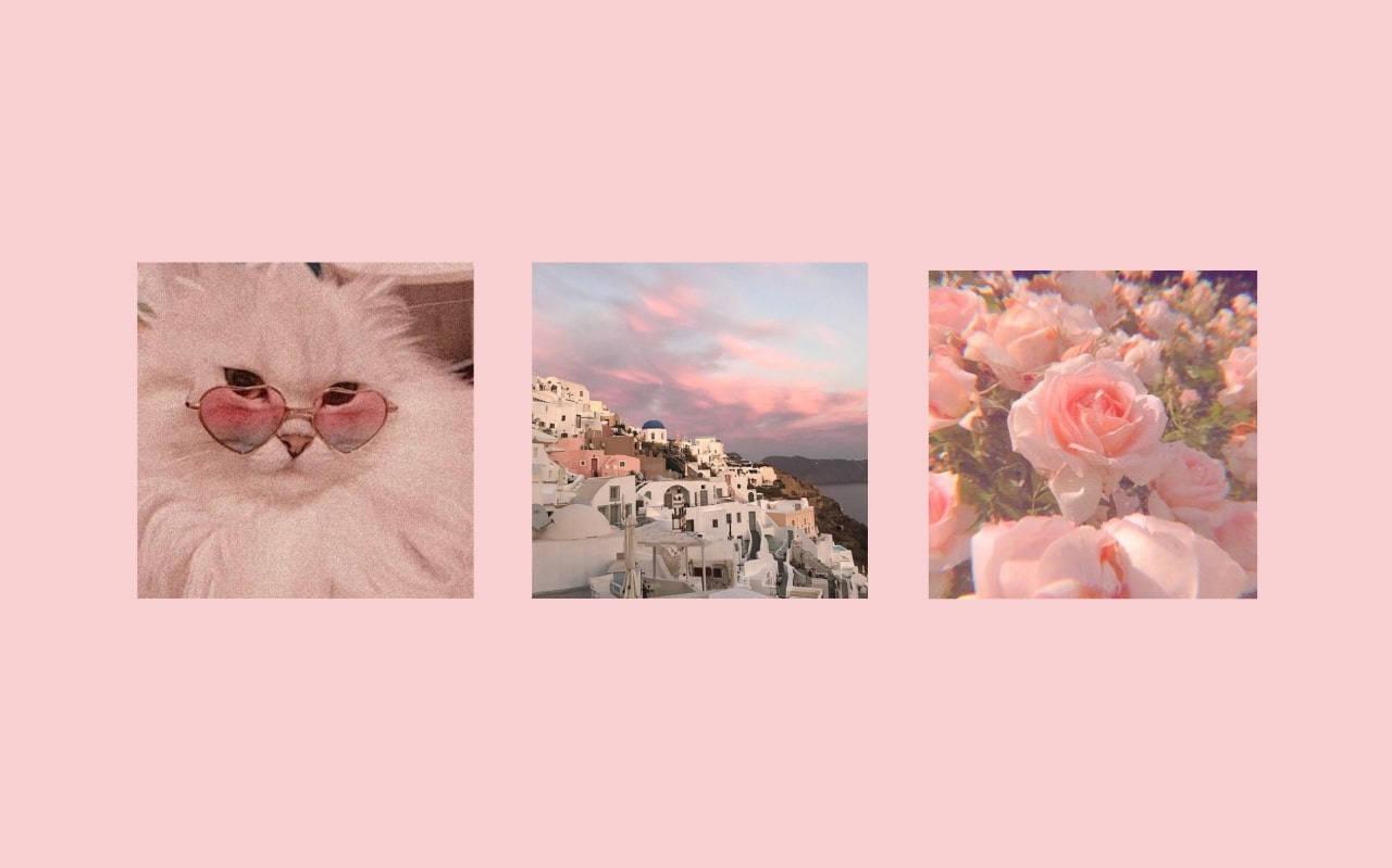 Dainty Pink Laptop Wallpaper