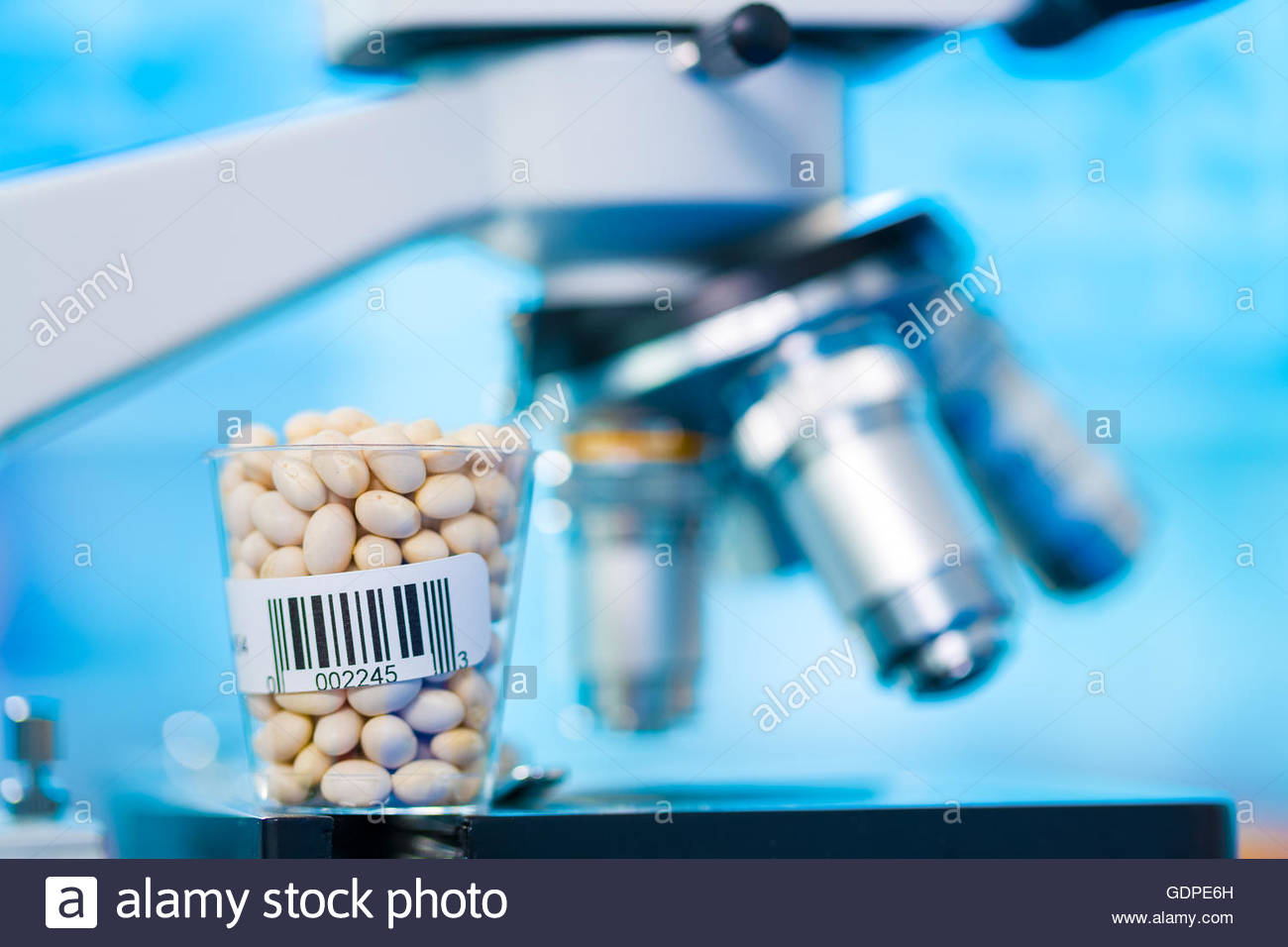 Beans In Laboratory Microscope Background Stock Photo