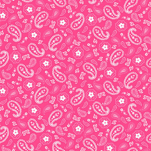 Western Wallpaper Border For Girls Bandana Pink Brown Paisley Print