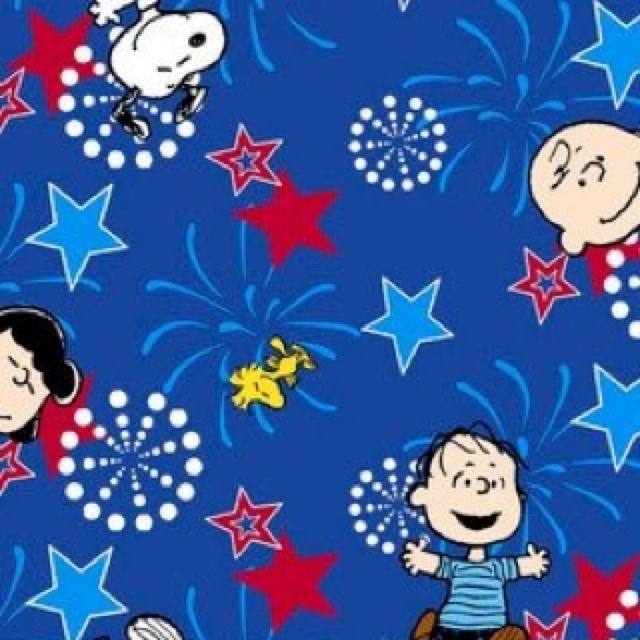 Peanuts 4th Of July Snoopy In The Classroom
