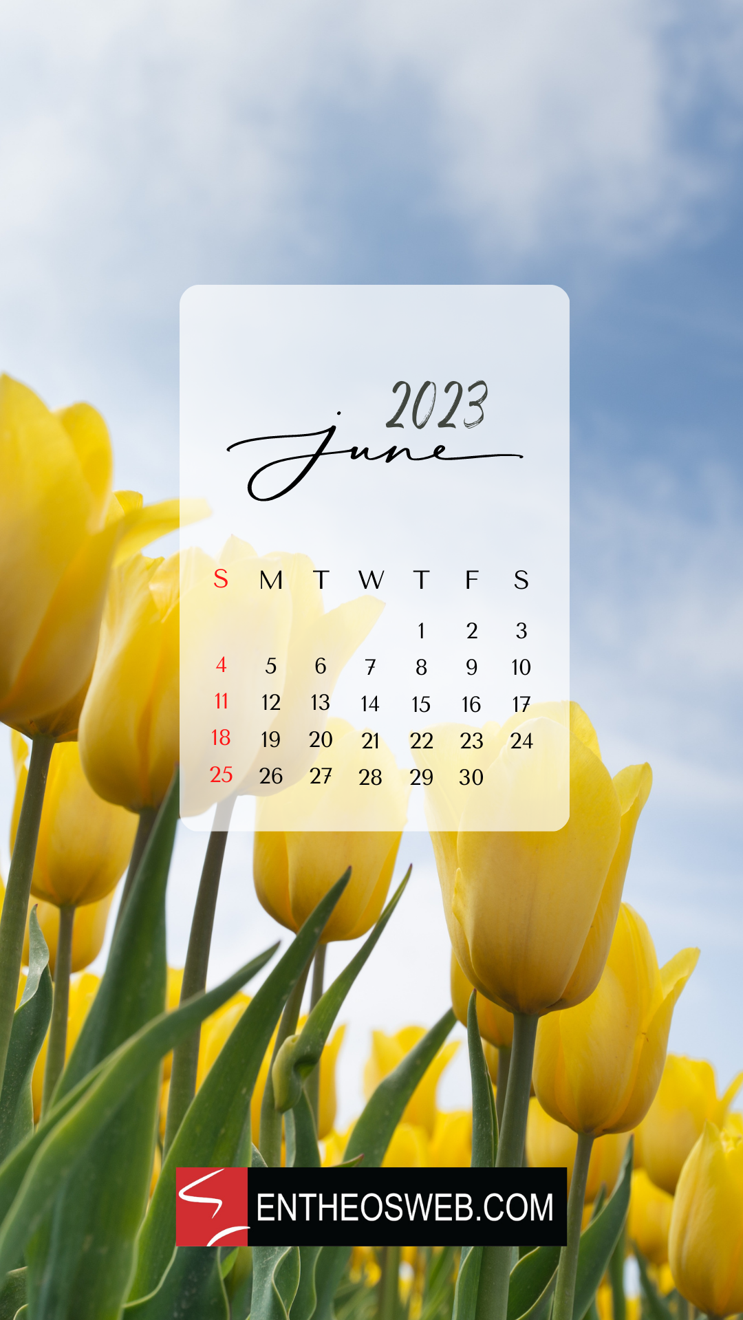 June 2023 Calendar Phone Wallpaper EntheosWeb