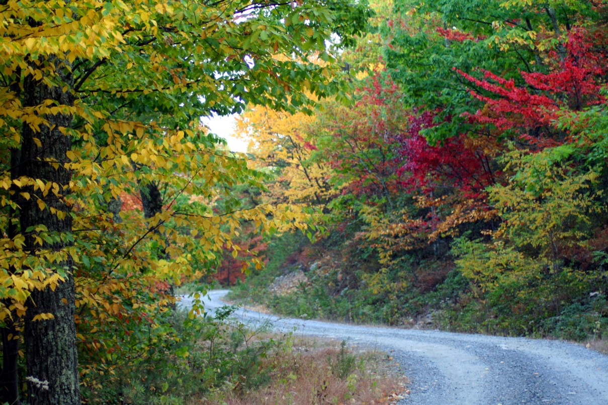 Country Roads West Virginia Pc Android iPhone And iPad Wallpaper