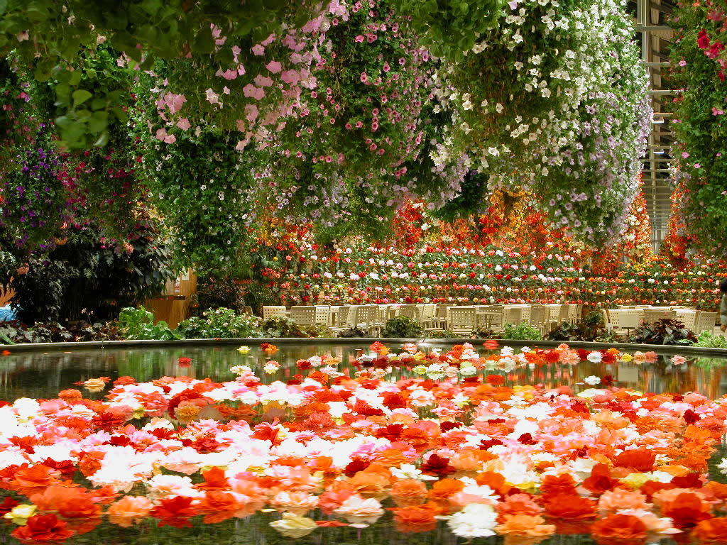 Desktop Wallpaper Flowers Gardens