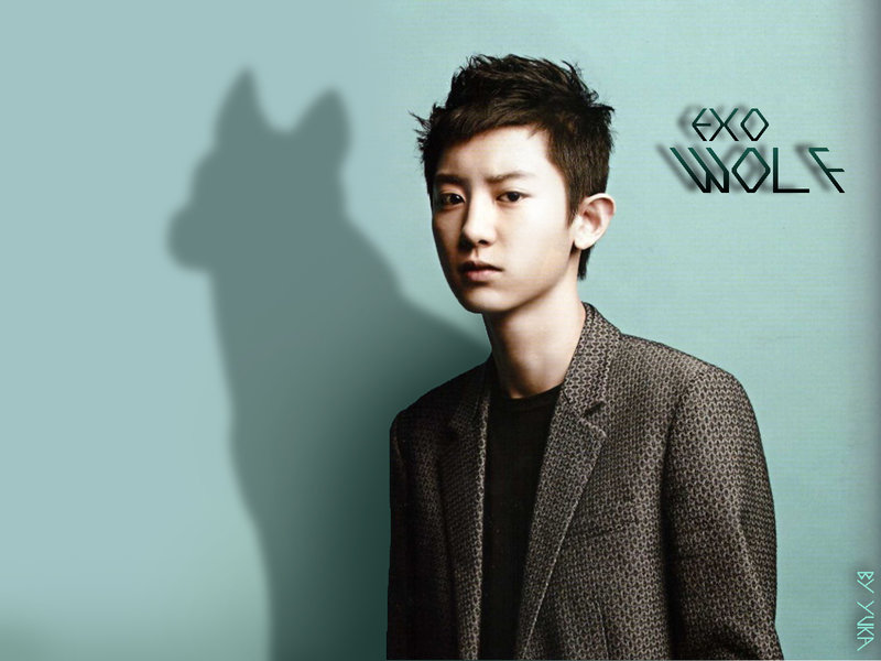 Exo Chanyeol Wolf Wallpaper
