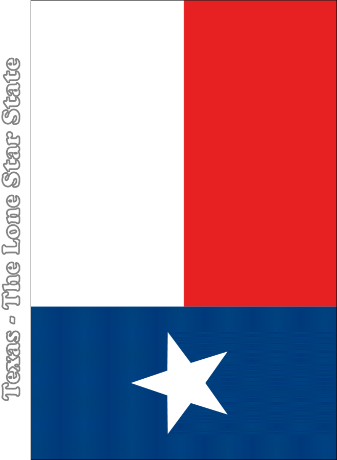 Kelvin plemons The Texas State Flag