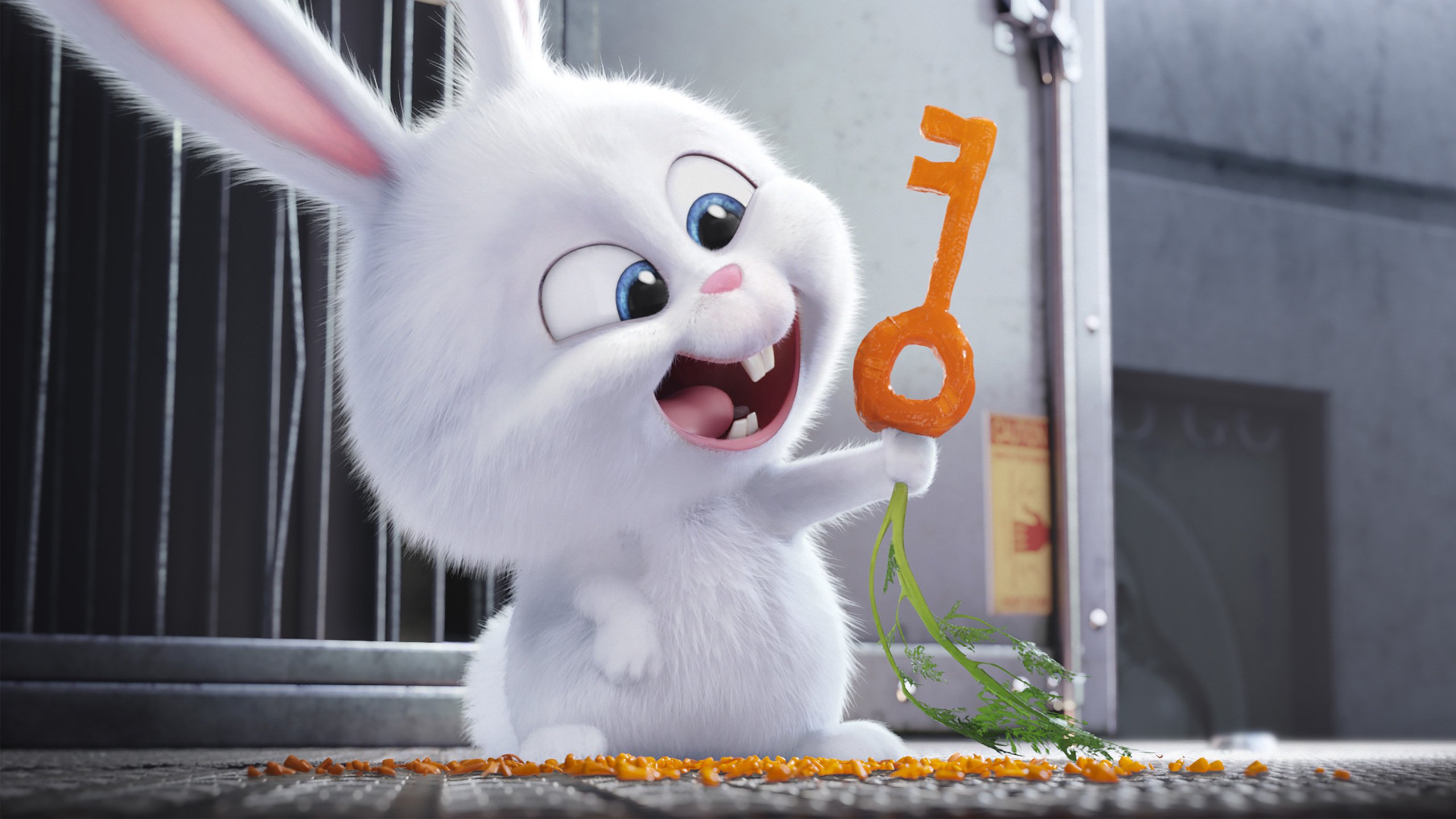 Snowball The Secret Life of Pets Wallpapers HD Wallpapers 2560x1440