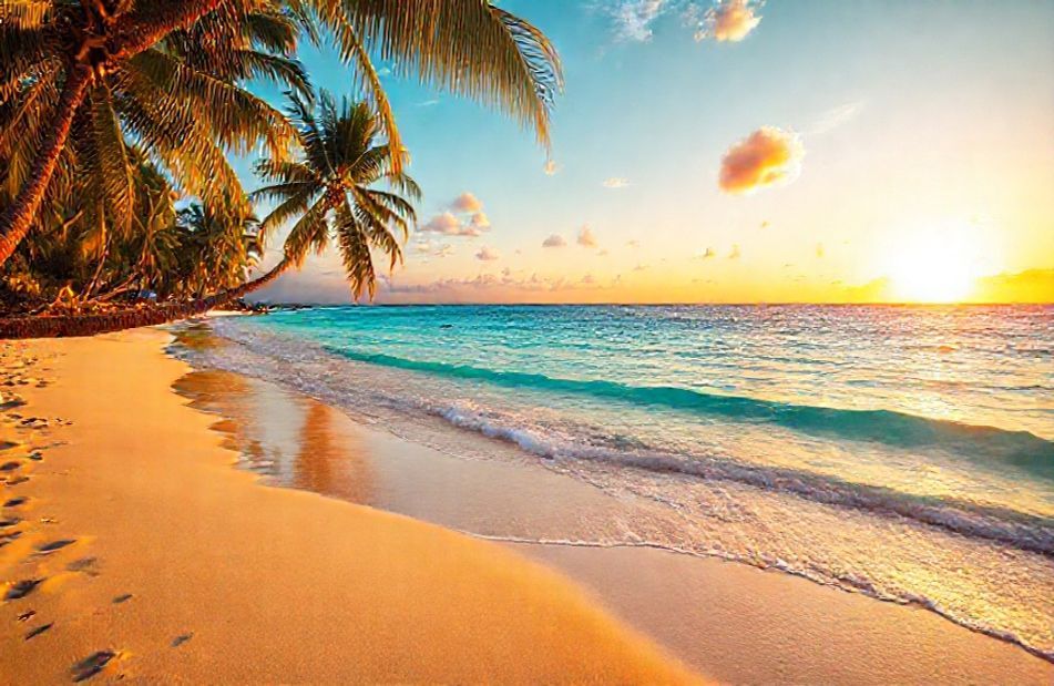 Tropical Beach Screensavers And Wallpaper