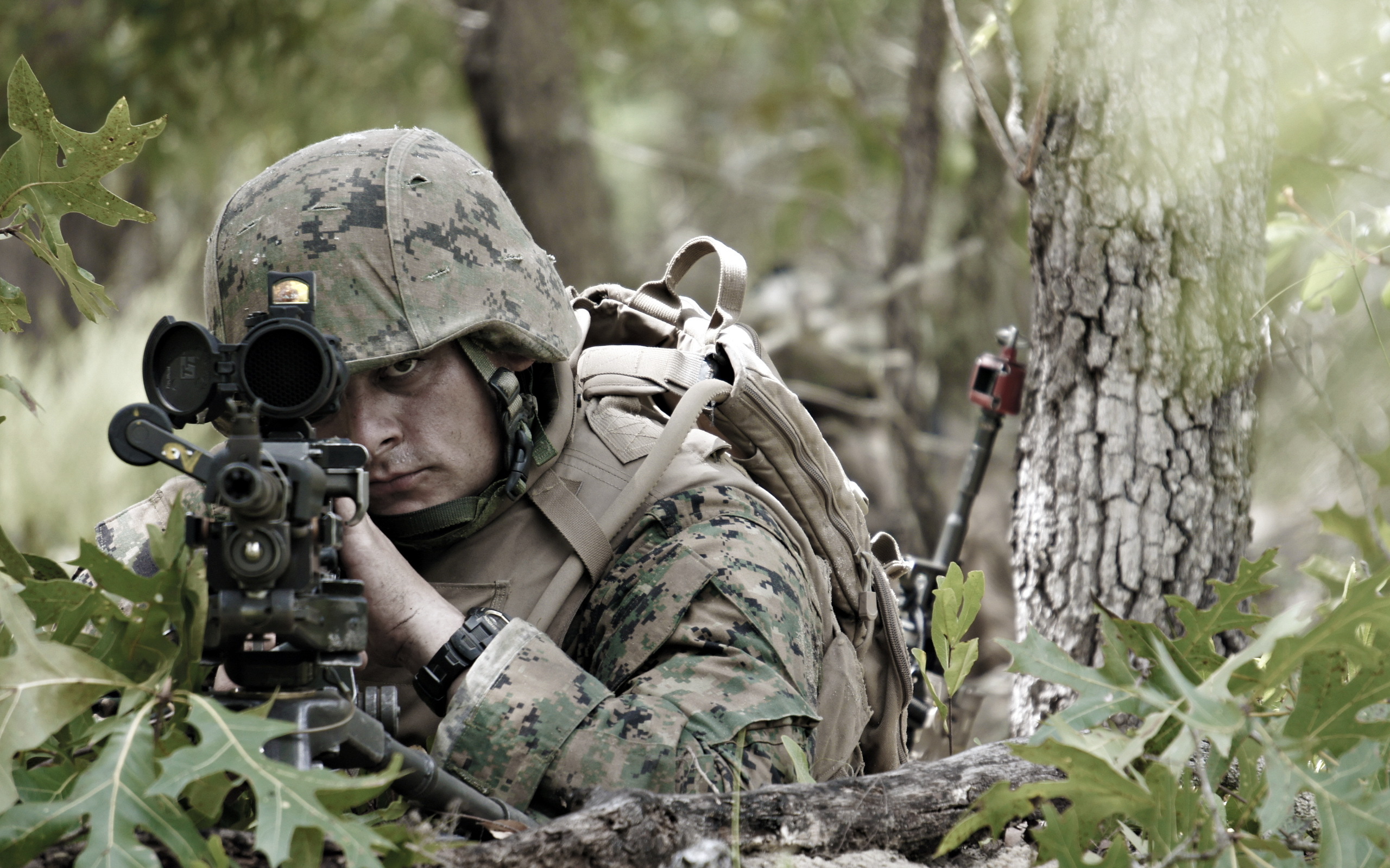 Pics Photos   Us Army Sniper Logo 9813 Hd Wallpapers