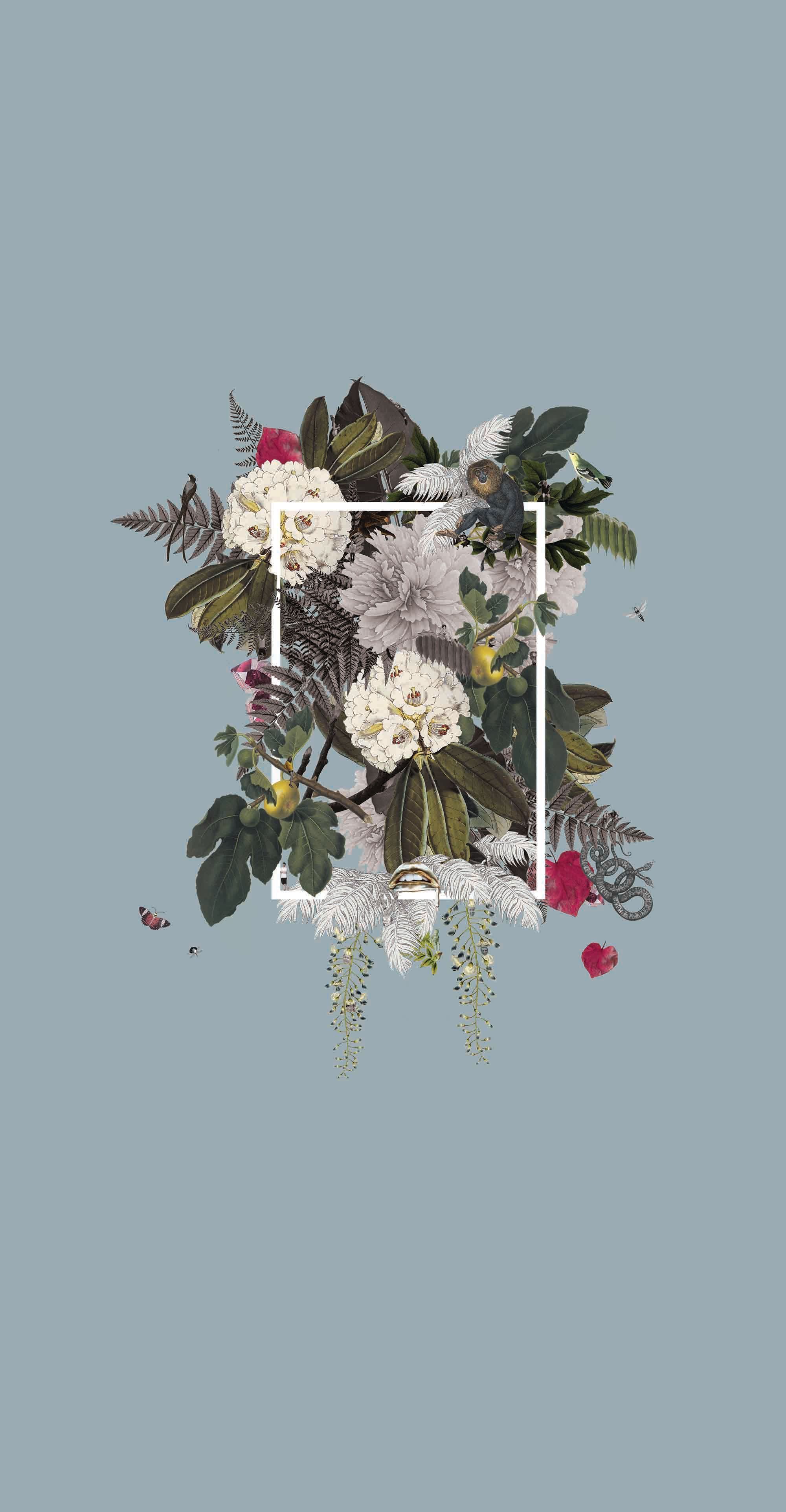 White Flower iPhone Wallpaper On