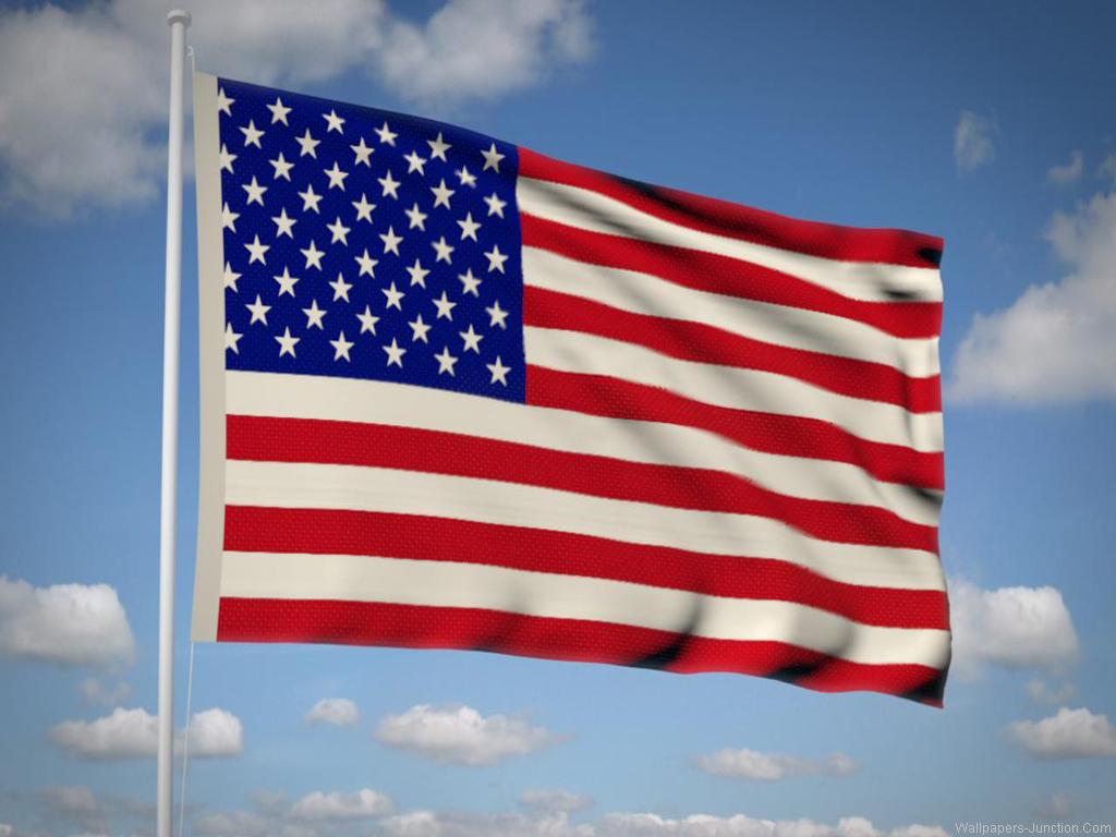 the national flag of the united states of america or the ame