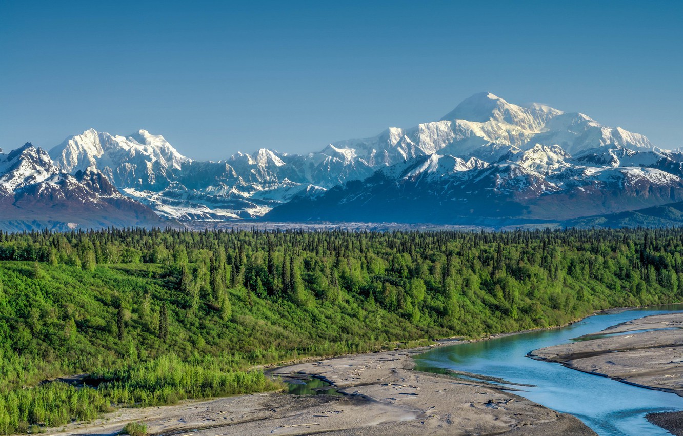 Wallpaper Forest Mountains River Alaska Denali