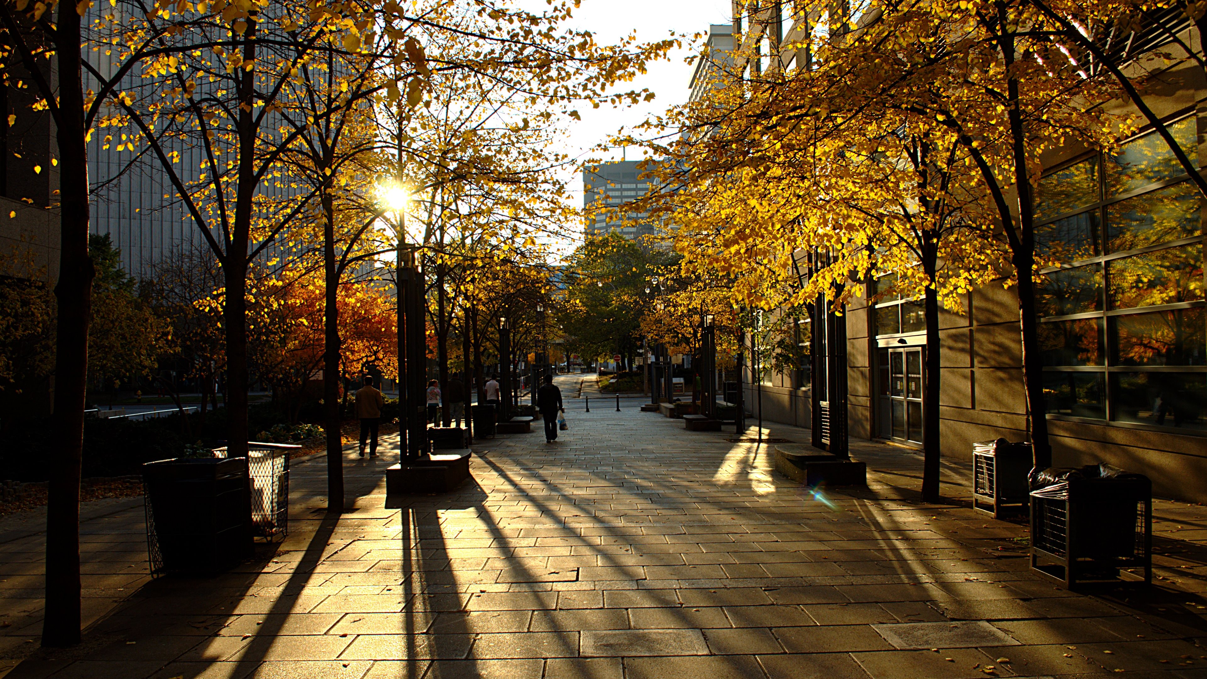 Toronto HD Wallpaper