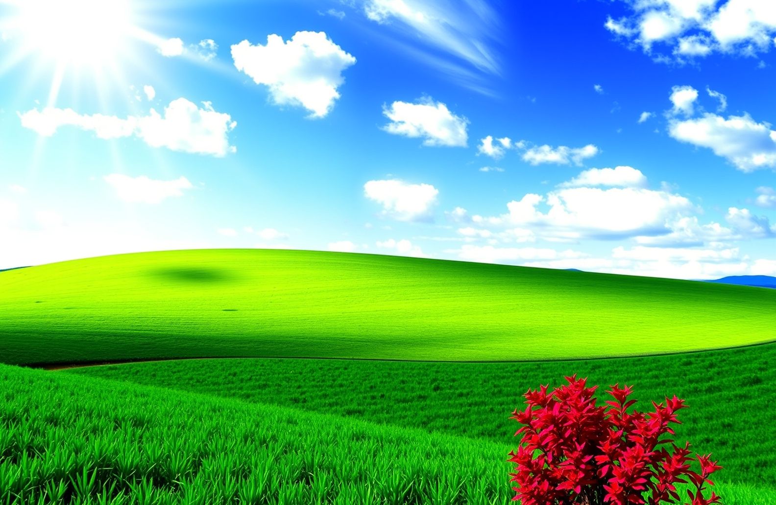 Windows Wallpaper