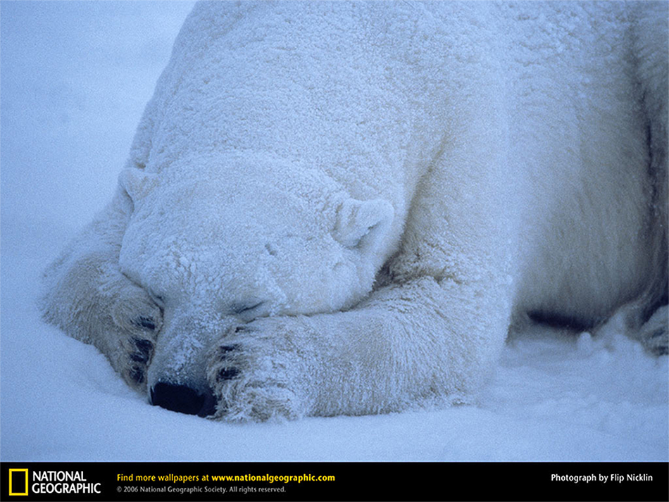  nelle grandi foto della settimana   1 di 12   National Geographic