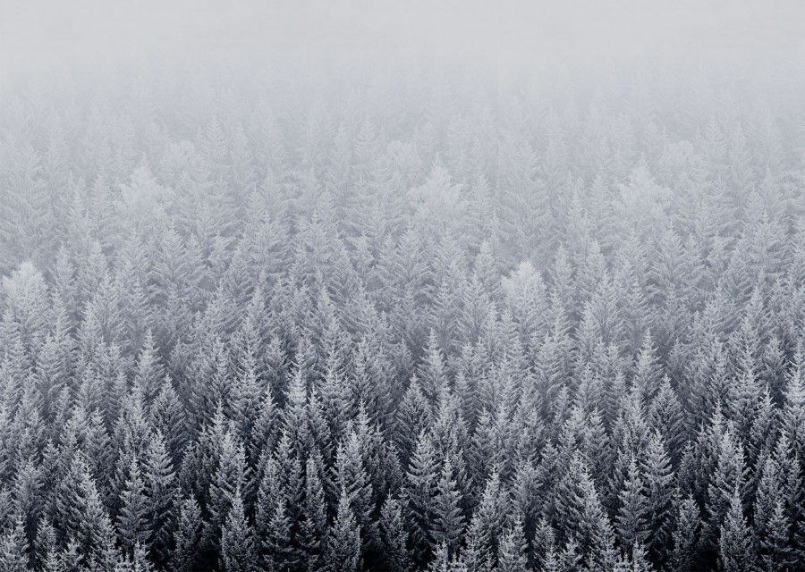 Ios Snow Forest Default Mac Desktop Wallpaper Artistry