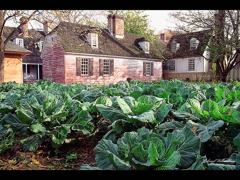 Colonial Williamsburg Multimedia S The
